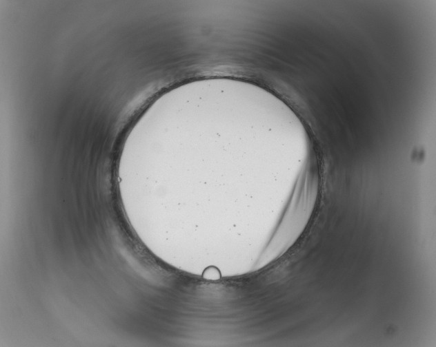 X0000112080298200909151119