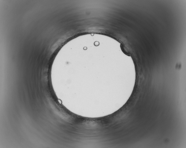 X0000112080299200909151119