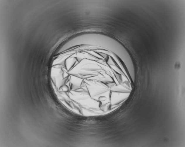 X0000112080300200909151119