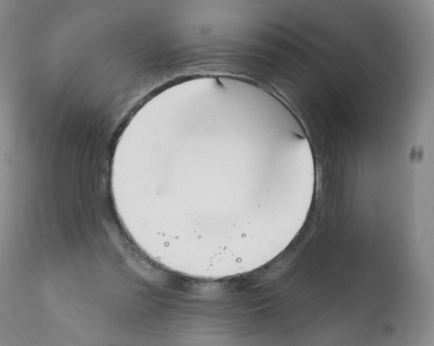 X0000112080301200909151119