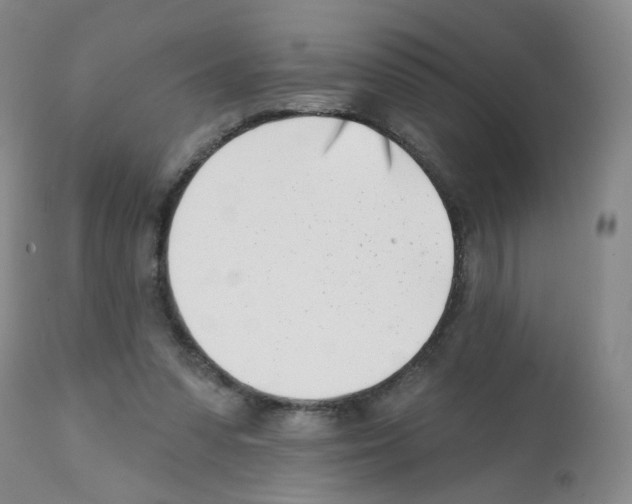 X0000112080303200909151119