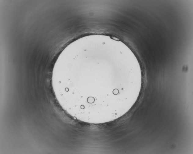 X0000112080305200909151119
