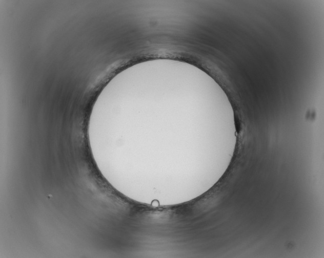 X0000112080306200909151119