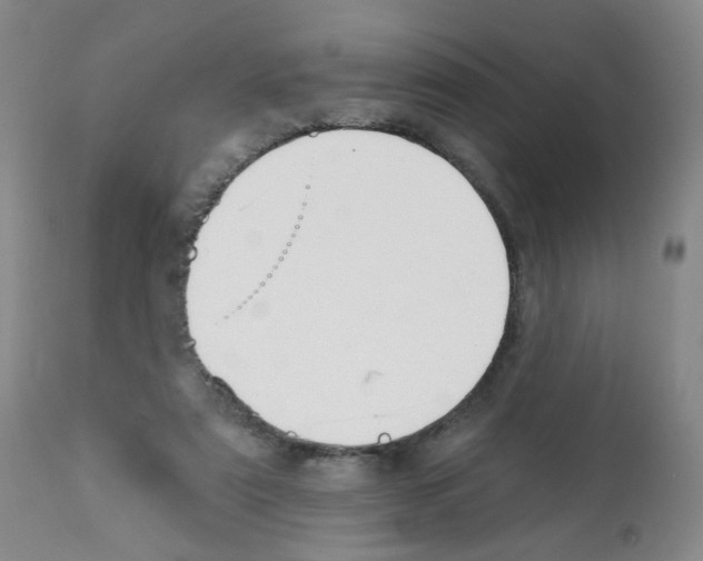 X0000112080307200909151119