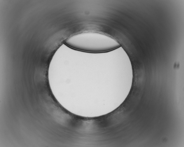 X0000112080309200909151119