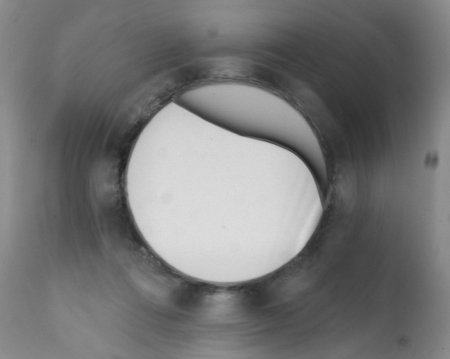 X0000112080312200909151119