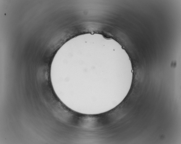 X0000112080313200909151119