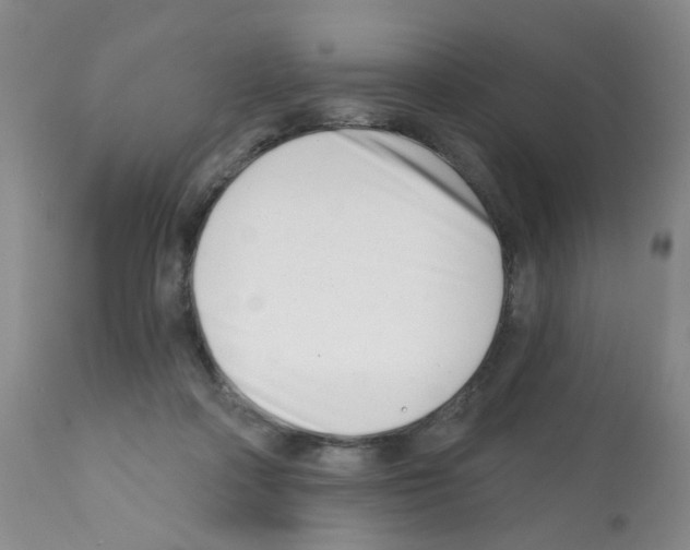 X0000112080314200909151119