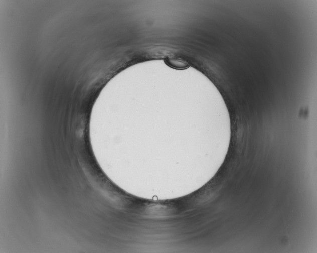 X0000112080315200909151119