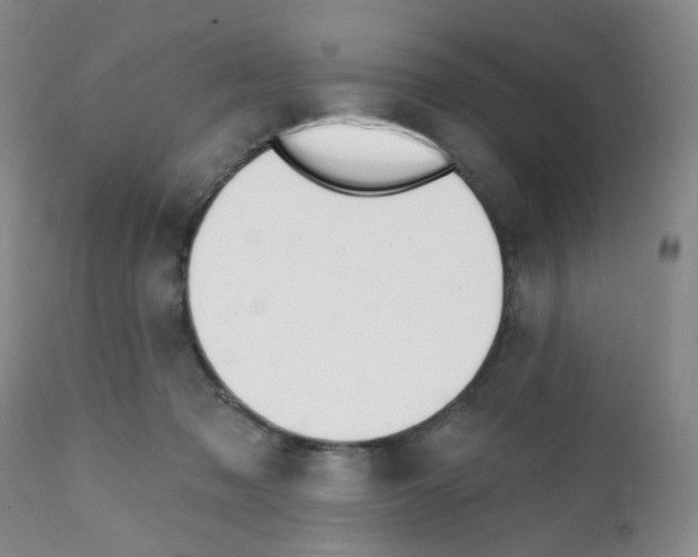 X0000112080317200909151119