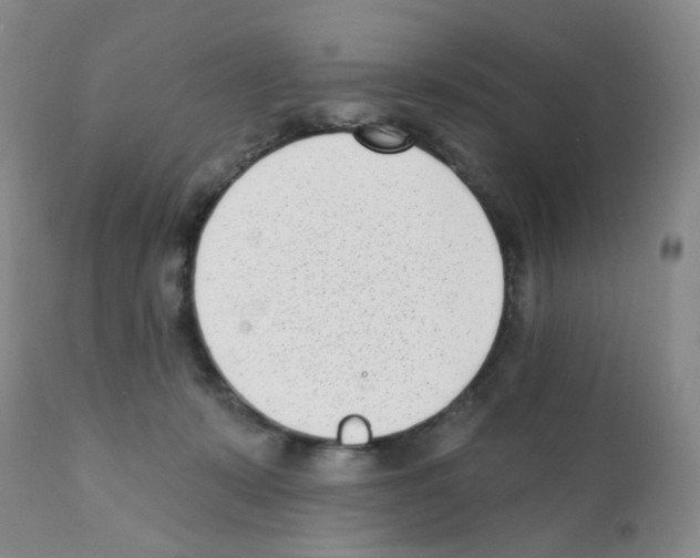 X0000112080319200909151119