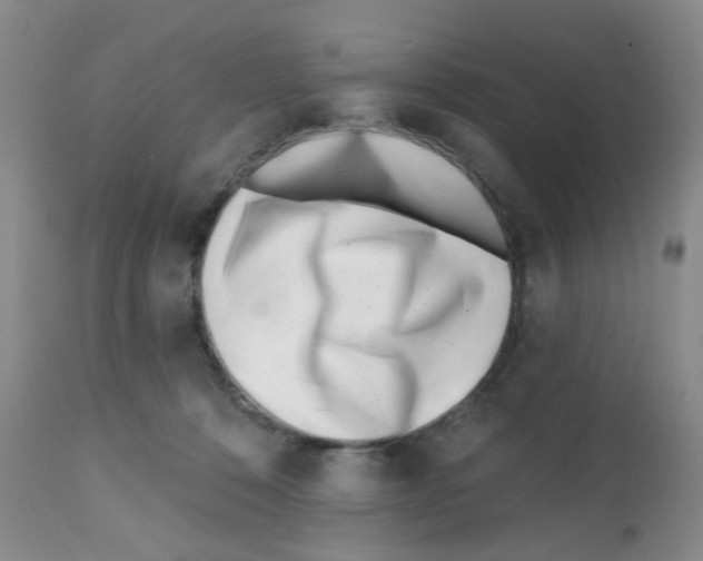 X0000112080320200909151119
