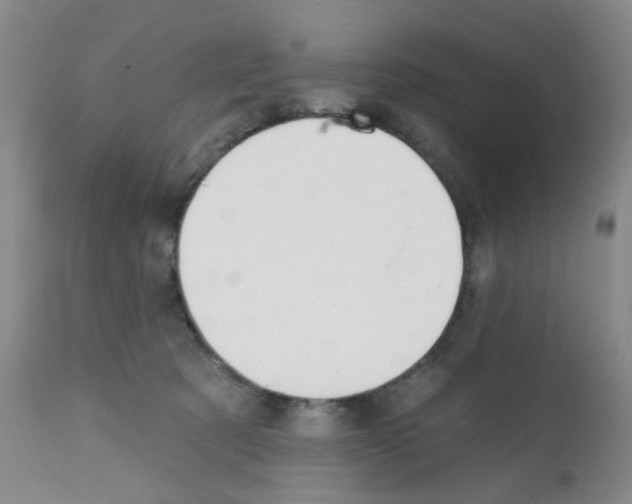 X0000112080321200909151119