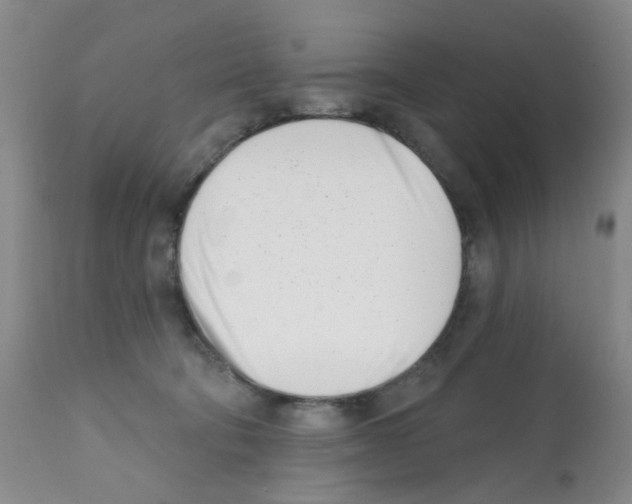 X0000112080322200909151119