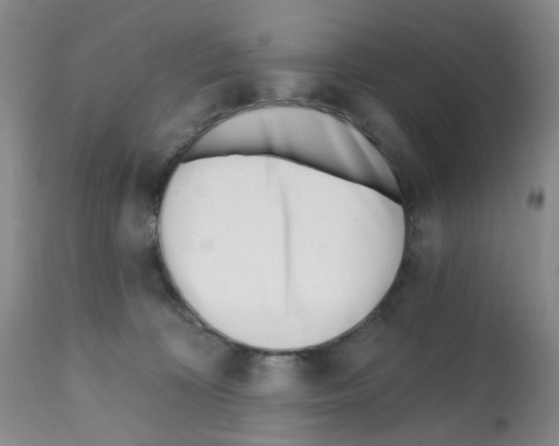 X0000112080324200909151119