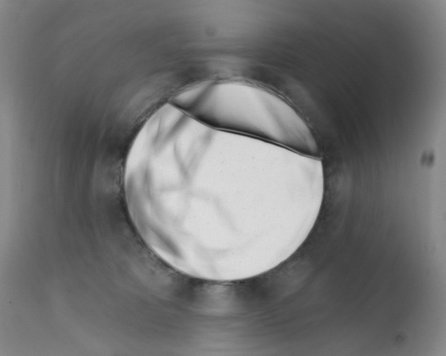 X0000112080325200909151119