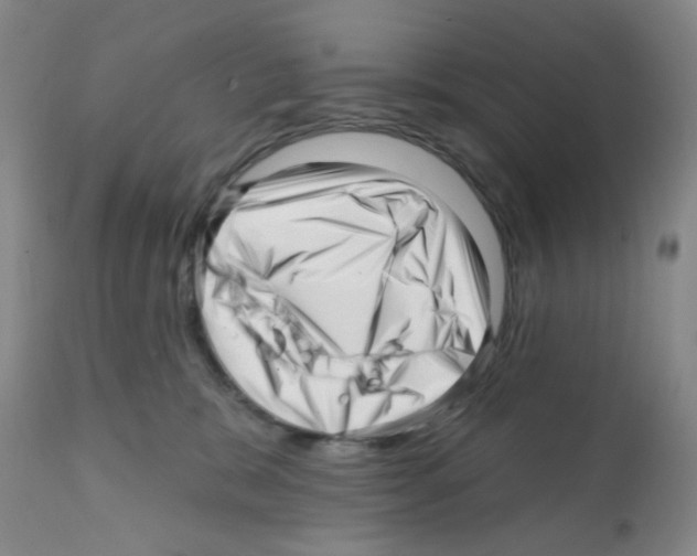 X0000112080327200909151119