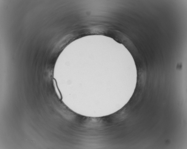 X0000112080329200909151119