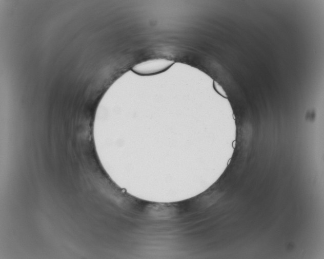 X0000112080331200909151119