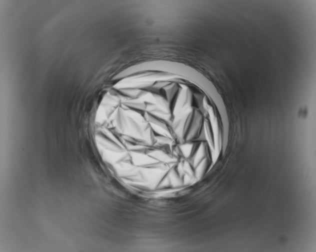 X0000112080332200909151119