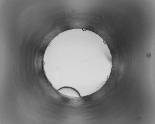 X0000112080334200909151119