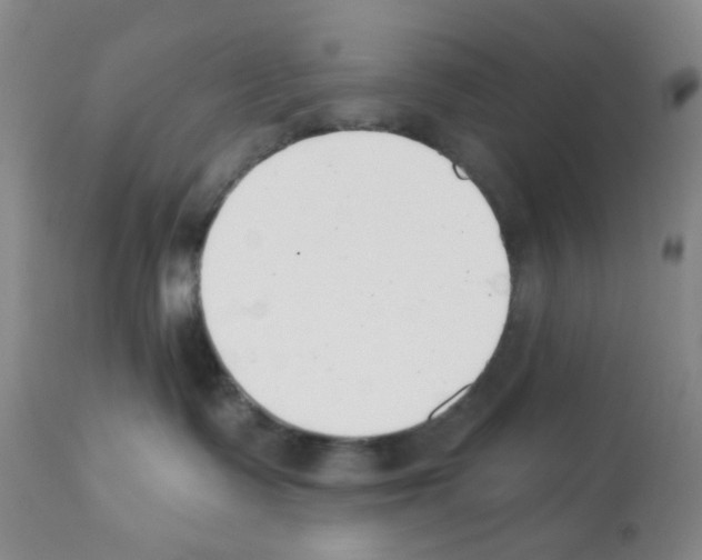 X0000112080335200909151119