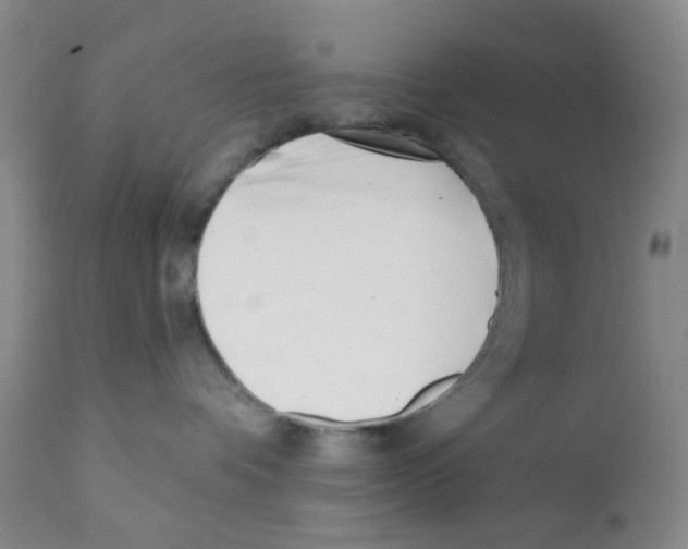 X0000112080336200909151119