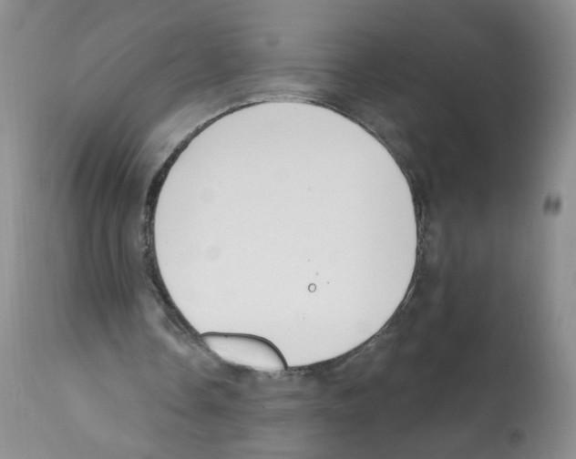 X0000112080338200909151118