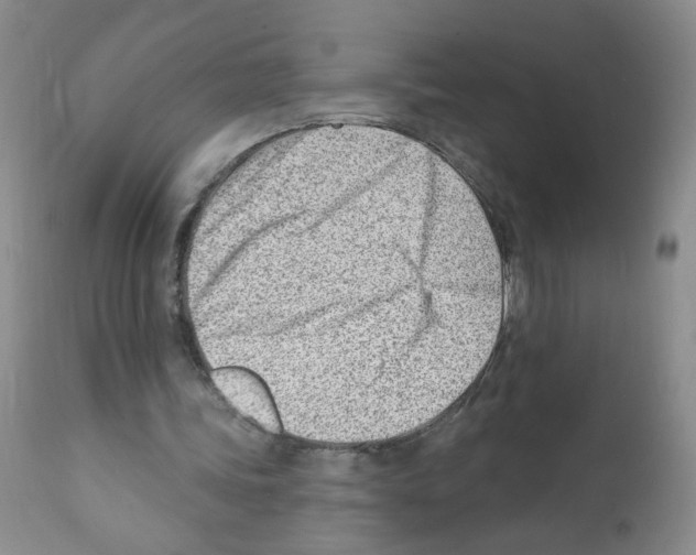 X0000112080339200909151118