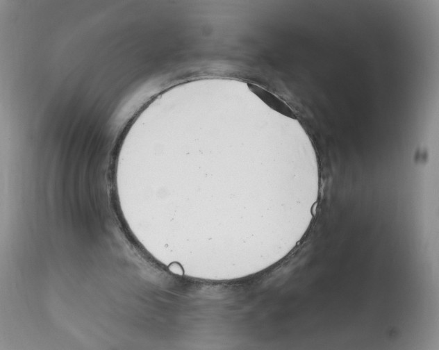 X0000112080341200909151118