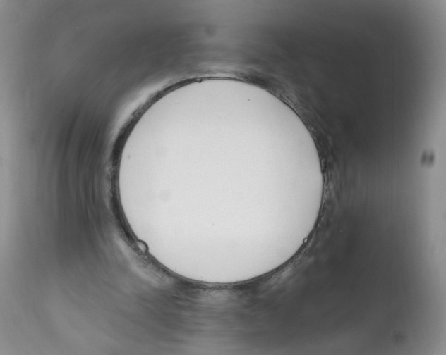 X0000112080342200909151118