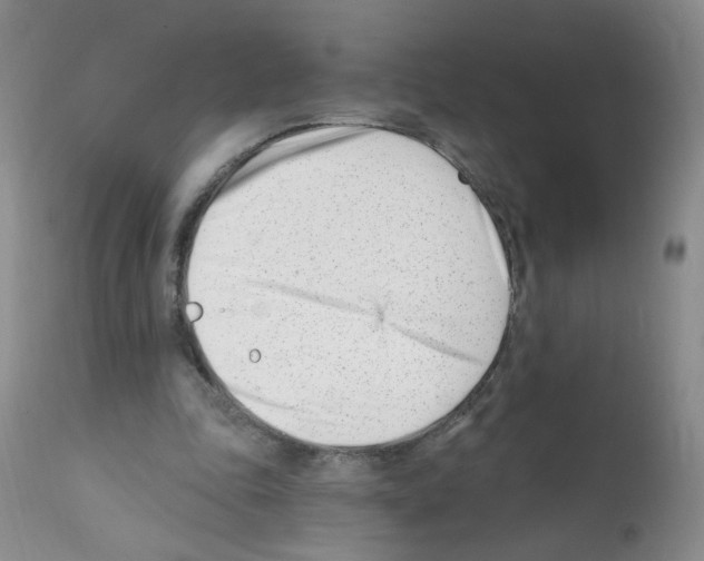 X0000112080343200909151118