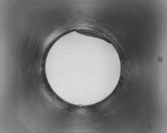 X0000112080344200909151118