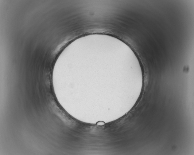 X0000112080345200909151118