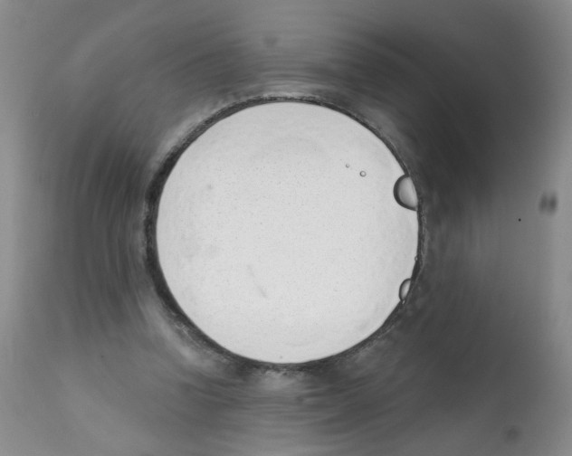 X0000112080346200909151118