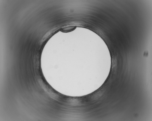 X0000112080349200909151118