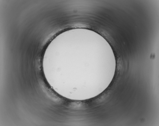 X0000112080351200909151118