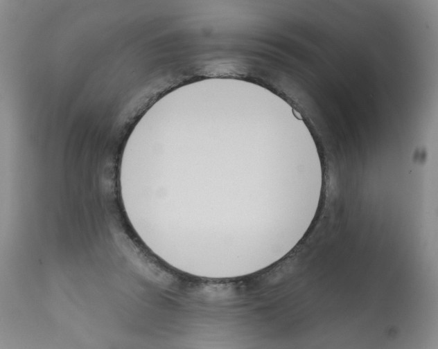 X0000112080353200909151118