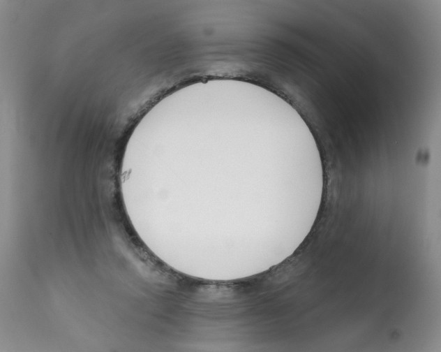 X0000112080354200909151118