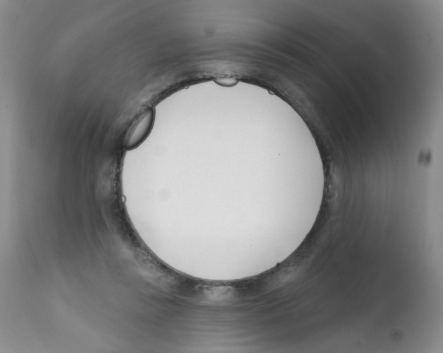 X0000112080355200909151118