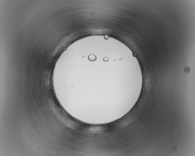 X0000112080357200909151118