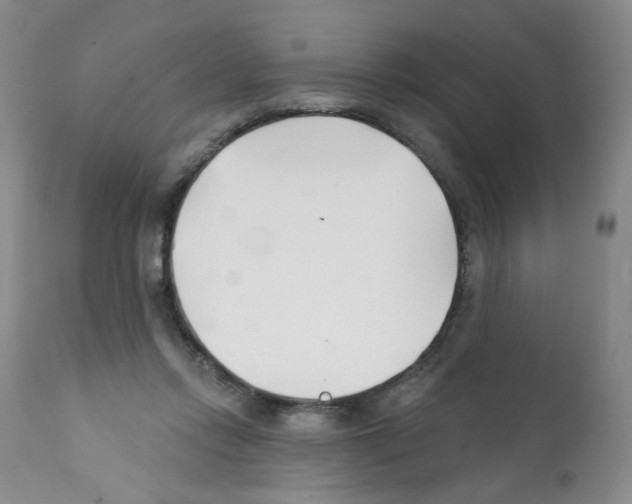 X0000112080358200909151118