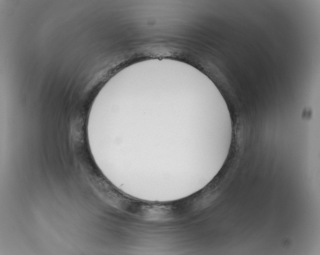 X0000112080359200909151118