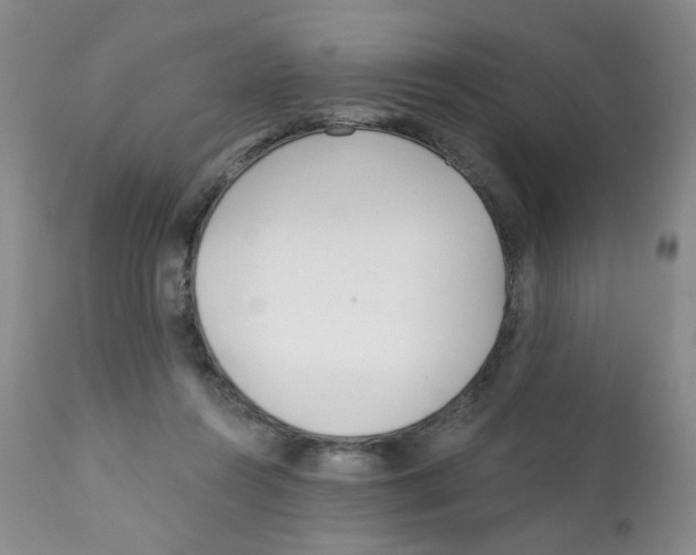 X0000112080360200909151118
