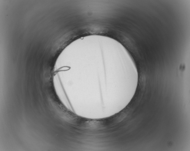 X0000112080367200909151118