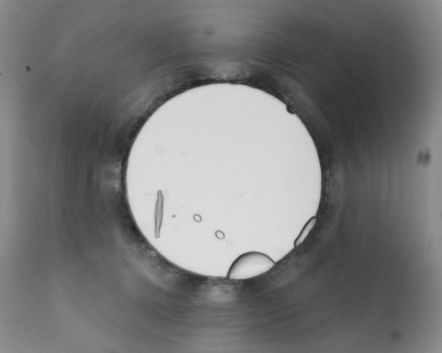X0000112080368200909151118