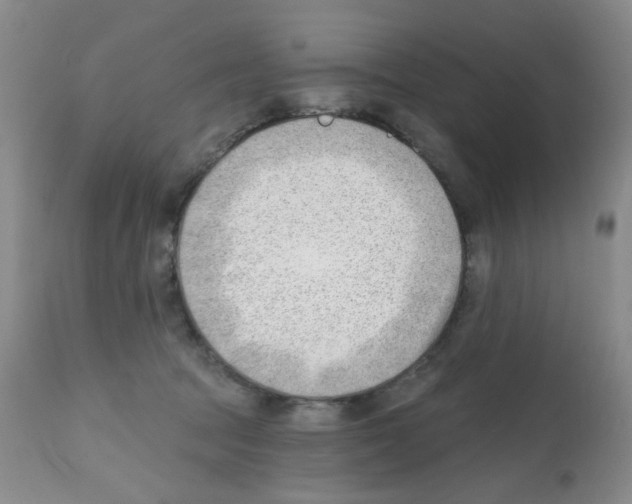 X0000112080369200909151118