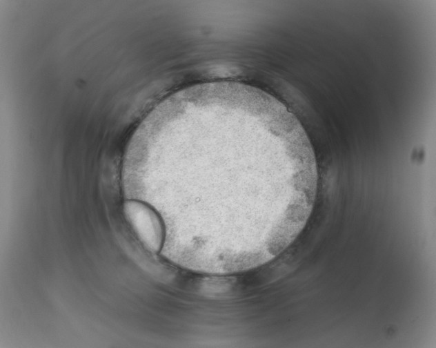 X0000112080373200909151118