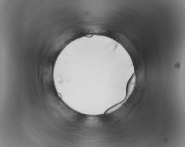 X0000112080376200909151118