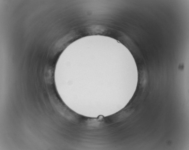 X0000112080378200909151119